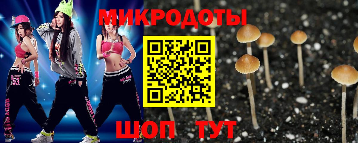 Елабуга  Псилоцибиновые грибы прущие грибы  купить наркотик  Вход с VPN  Псилоцибиновые грибы мицелий 